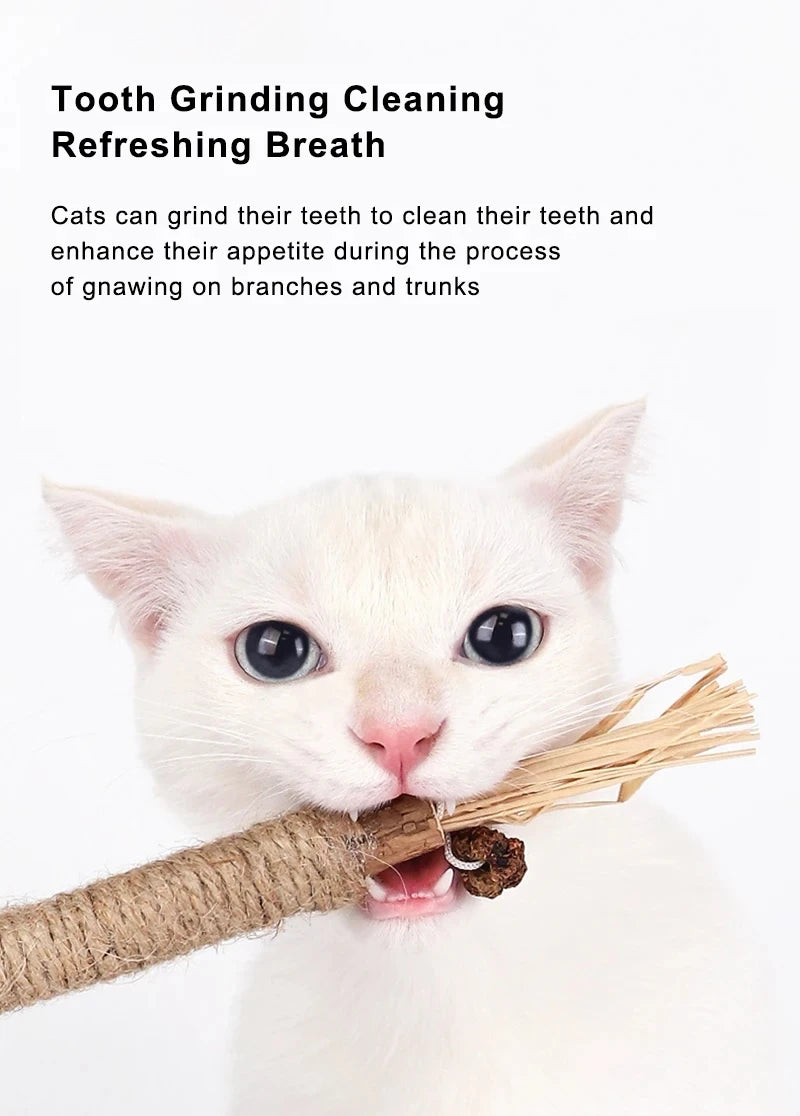 1 Pc Silvervine Chew Stick for Cats – Natural Kitty Toy with Raffia Grass and Hemp Rope for Teeth Cleaning