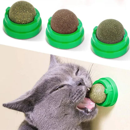 Natural Catnip Scratching Post for Cat Scrapers Cat Wall Sticker Ball Toy Scraper Cats Pet Products Therapeutic Healthy Toys Hom