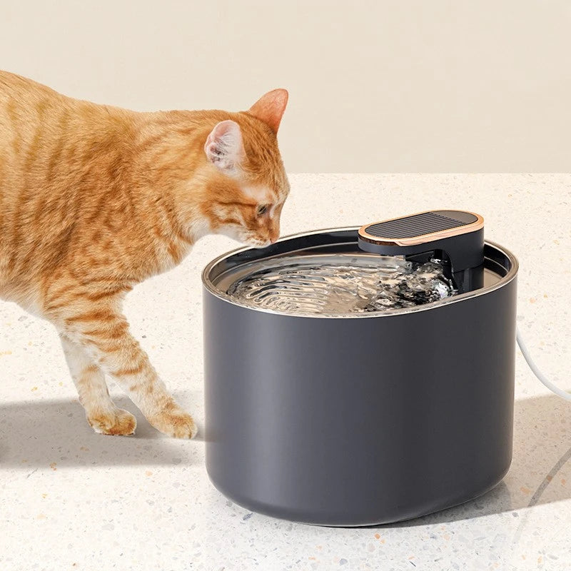 Cat Automatic Water Fountain 3L Silent Drinking Fountain LED Light USB Charge Electric Pet Feeder Bowl Dispenser Filter